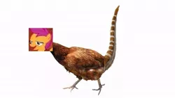 Size: 640x360 | Tagged: 1000 hours in ms paint, bird, chicken, chickenosaurus, chickun, derpibooru import, dinosaur, exploitable meme, faic, forced meme, meme, ms paint, safe, scootaloo