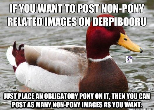 Size: 527x378 | Tagged: advice animal, barely pony related, bird, caption, derpibooru, derpibooru import, duck, image macro, irony, malicious advice mallard, malicious advice op, meme, meta, obligatory pony, rarity, safe, text