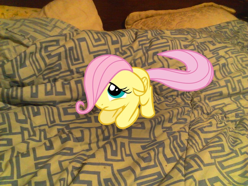 Size: 2048x1536 | Tagged: safe, artist:tokkazutara1164, derpibooru import, fluttershy, pony, bed, female, filly, irl, photo, ponies in real life, solo, vector