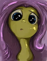 Size: 927x1200 | Tagged: artist:hereticofdune, close-up, derpibooru import, fluttershy, safe, solo