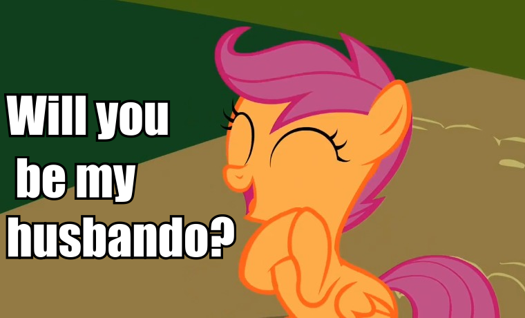 Size: 760x460 | Tagged: bronybait, caption, derpibooru import, husbando, image macro, safe, scootaloo, solo, text