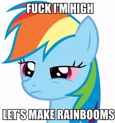 Size: 865x925 | Tagged: safe, derpibooru import, rainbow dash, pegasus, pony, fanfic, drugs, fanfic art, female, fuck, fuck i'm high, high, mare, red eyes, roflbot, simple background, solo, text, vector, vulgar, white background