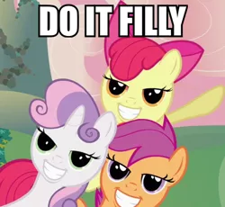 Size: 600x553 | Tagged: safe, derpibooru import, apple bloom, scootaloo, sweetie belle, earth pony, pegasus, pony, unicorn, caption, cutie mark crusaders, do it filly, grin, image macro, lidded eyes, meme, smiling, text