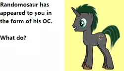 Size: 446x257 | Tagged: safe, derpibooru import, oc, oc:night fossil, unofficial characters only, pony, unicorn, pony creator, male, meme, murder in the comments, question, randomosaur, solo, stallion, text, unshorn fetlocks, what do