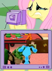 Size: 511x700 | Tagged: blue, blues clues, derpibooru import, exploitable meme, fluttercry, fluttershy, meme, obligatory pony, safe, steve, tv meme