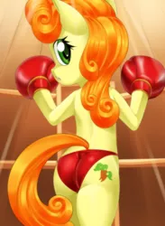 Size: 500x682 | Tagged: suggestive, artist:pugilismx, derpibooru import, carrot top, golden harvest, pony, semi-anthro, bipedal, boxing, boxing gloves, butt, clothes, female, foxy boxing, goldenbutt, panties, plot, solo, solo female, sports, underwear
