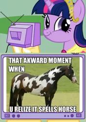 Size: 564x800 | Tagged: safe, derpibooru import, edit, edited screencap, screencap, twilight sparkle, twilight sparkle (alicorn), alicorn, horse, pony, caption, exploitable meme, faic, fake, female, hoers, image macro, irl, mare, meme, obligatory pony, photo, smirk, text, tv meme, twiface, wrong neighborhood