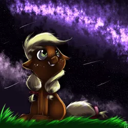 Size: 1024x1024 | Tagged: applejack, artist:imsokyo, derpibooru import, female, filly, just-ask-filly-applejack, looking up, night, safe, shooting star, sitting, solo
