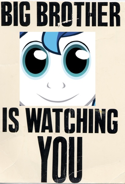 Size: 1254x1839 | Tagged: 1984, big brother is watching, derpibooru import, don't blink or he'll get ya, meme, propaganda, safe, shining armor, solo, twily face