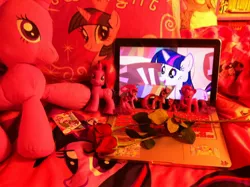 Size: 1280x956 | Tagged: bedspread, collector card, computer, derpibooru import, figure, flower, hasbro, irl, laptop computer, photo, plushie, rose, safe, toy, twilight sparkle