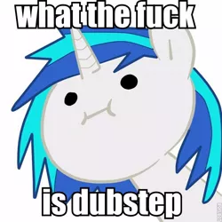 Size: 600x600 | Tagged: caption, derpibooru import, dubstep, image macro, safe, solo, text, vinyl scratch, vulgar