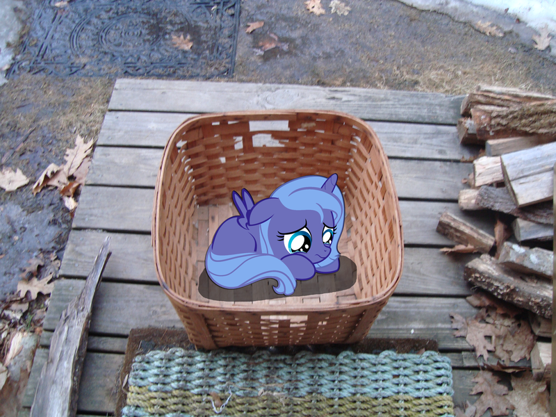 Size: 3072x2304 | Tagged: safe, artist:aetherlordignus, derpibooru import, princess luna, pony, adoption, basket, crying, cute, female, filly, firewood, frown, irl, leaves, lying, lying down, mat, photo, ponies in real life, pony in a basket, prone, sad, shadow, solo, spread wings, vector, wings, woona, younger