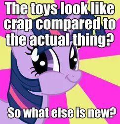 Size: 387x398 | Tagged: safe, derpibooru import, twilight sparkle, equestria girls, caption, faic, image macro, smirk, solo, text, twiface