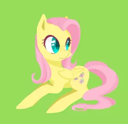 Size: 1198x1162 | Tagged: safe, artist:foxda, derpibooru import, fluttershy, pegasus, pony, colored pupils, green background, simple background, smiling, solo