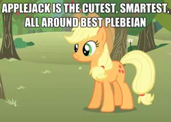 Size: 625x444 | Tagged: applejack, best pony, caption, derpibooru import, image macro, plebeian, safe, solo, text