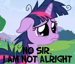 Size: 888x749 | Tagged: big eyes, caption, cropped, derpibooru import, edit, edited screencap, floppy ears, image macro, lesson zero, messy mane, pouting, puppy dog eyes, reaction image, sad, safe, screencap, solo, text, twilight snapple, twilight sparkle