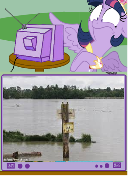 Size: 440x609 | Tagged: safe, derpibooru import, twilight sparkle, twilight sparkle (alicorn), alicorn, pony, exploitable meme, female, godzilla (series), godzilla 2014, legendary pictures, mare, meme, obligatory pony, radiation sign, set piece, tv meme