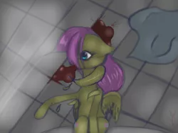 Size: 1024x768 | Tagged: artist:caballinedreams, blood, death, derpibooru import, feather, fluttershy, grimdark, solo