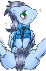 Size: 390x600 | Tagged: artist:divided-s, blushing, censored, covering, derpibooru import, male, on back, soarin', solo, solo male, spreading, spread legs, suggestive, tail, tail covering, tail pull