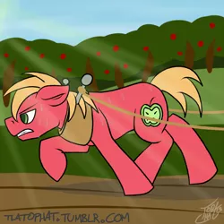 Size: 1024x1024 | Tagged: safe, artist:tlatophat, derpibooru import, big macintosh, earth pony, pony, 30 minute art challenge, male, solo, stallion, sweat