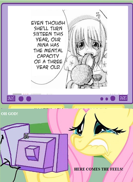 Size: 540x742 | Tagged: artificial maiden, computer, derpibooru import, exploitable meme, fluttershy, meme, nina, obligatory pony, safe, tv meme