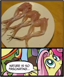 Size: 397x473 | Tagged: derpibooru import, disturbing, exploitable meme, fluttershy, frog legs, meme, nature is so fascinating, obligatory pony, safe, why