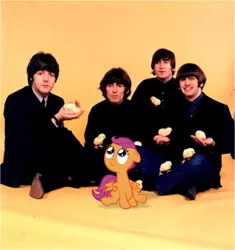Size: 866x922 | Tagged: safe, derpibooru import, scootaloo, human, pony, crossover, george harrison, irl, irl human, john lennon, paul mccartney, photo, ponies in real life, ringo starr, scootachicken, the beatles
