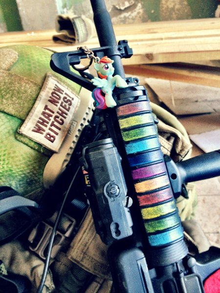 Size: 768x1024 | Tagged: airsoft, an/peq-15, ar15, custom, derpibooru import, gun, gunified, irl, my little arsenal, photo, rainbow dash, rifle, safe, toy, vulgar, weapon