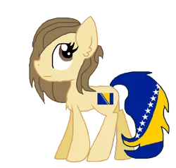 Size: 728x692 | Tagged: safe, artist:pinkielord, derpibooru import, ponified, pony, bosnia, bosnia and herzegovina, nation ponies, solo