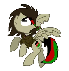 Size: 494x506 | Tagged: safe, artist:pinkielord, derpibooru import, ponified, pegasus, pony, afghanistan, country, flag, nation ponies, solo