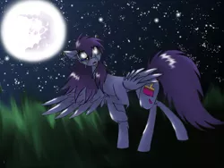 Size: 2560x1920 | Tagged: safe, artist:tenebristayga, derpibooru import, oc, unofficial characters only, pegasus, pony, chest fluff, crying, ear fluff, moon, moonlight, night, solo