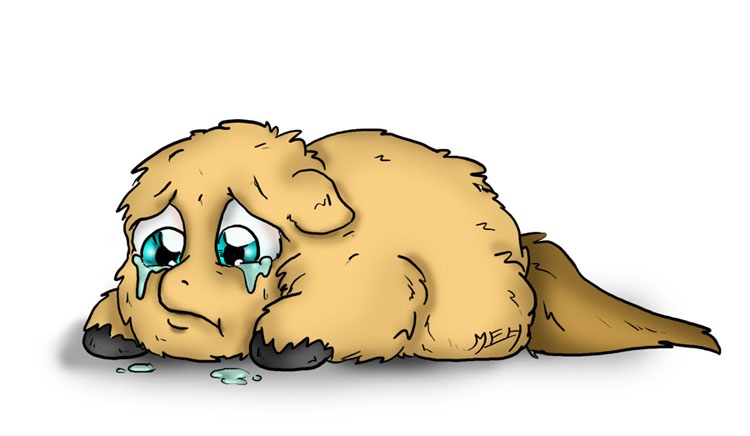 Size: 750x436 | Tagged: amputee, artist:meh, crying, derpibooru import, fluffy pony, fluffy pony original art, sad, safe, solo