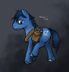 Size: 877x910 | Tagged: artist:fore-trekker, derpibooru import, fallout equestria, fallout equestria: project horizons, fanfic art, grimdark, oc, oc:p-21, solo, unofficial characters only