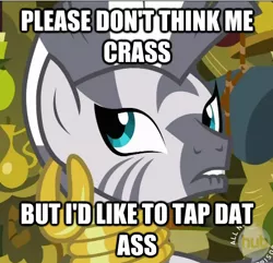 Size: 457x441 | Tagged: caption, dat butt, derpibooru import, edit, edited screencap, image macro, implied sex, innuendo, lip bite, meme, out of context, screencap, solo, suggestive, text, vulgar, zebra, zecora