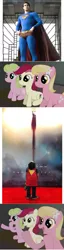 Size: 504x1956 | Tagged: 4koma, comic, daisy, derpibooru import, exploitable meme, flower trio, flower wishes, lily, lily valley, man of steel, meme, reaction guys, reaction ponies, roseluck, safe, superman, superman returns