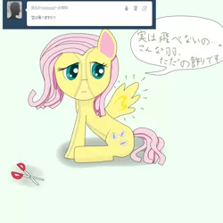 Size: 1000x1000 | Tagged: derpibooru import, fluttershy, futtedoll, japanese, safe, solo, tumblr