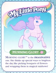 Size: 575x754 | Tagged: backcard, derpibooru import, g2, morning glory, safe, text, toy
