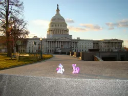 Size: 3456x2592 | Tagged: artist:wordturner, capitol, derpibooru import, figure, irl, photo, ponies around the world, rarity, safe, toy, twilight sparkle, washington d.c.