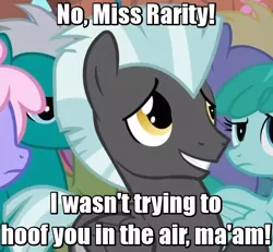 Size: 640x592 | Tagged: suggestive, derpibooru import, edit, edited screencap, screencap, buddy, rainbowshine, rarity, spring melody, sprinkle medley, thorn (character), thunderlane, pony, hurricane fluttershy, caption, caught, embarrassed, female, image macro, implications, implied hoofing, implied sex, male, out of context, rarilane, shipping, straight, suspiciously specific denial, text