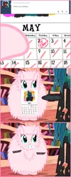 Size: 660x1645 | Tagged: artist:mixermike622, ask, birthday, calendar, derpibooru import, eating, golden oaks library, oc, oc:fluffle puff, queen chrysalis, safe, tumblr, tumblr:ask fluffle puff