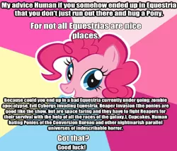 Size: 1040x888 | Tagged: advice, caption, derpibooru import, equestria, humans in equestria, image macro, multiverse, parallel universe, pinkie pie, semi-grimdark, text, tl;dr