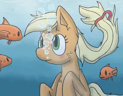 Size: 1280x996 | Tagged: applejack, artist:jakethespy, blushing, bubble, chest fluff, colors:crowley, derpibooru import, fish, safe, solo, underwater