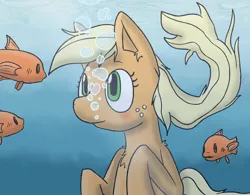 Size: 1280x996 | Tagged: applejack, artist:jakethespy, blushing, bubble, chest fluff, colors:crowley, derpibooru import, edit, fish, safe, solo, underwater