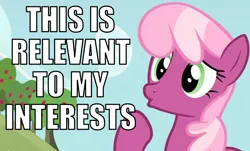 Size: 950x575 | Tagged: caption, cheerilee, derpibooru import, dialogue, edit, edited screencap, family appreciation day, female, image macro, mare, reaction image, relevant to my interests, safe, screencap, solo, text