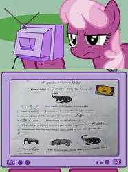 Size: 564x760 | Tagged: behemoth, cheerilee, creationism, derpibooru import, dinosaur, exploitable meme, meme, obligatory pony, religion, safe, tv meme