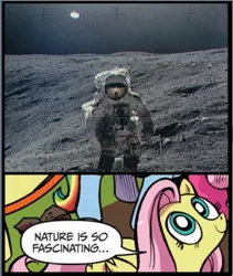 Size: 396x470 | Tagged: astronaut, derpibooru import, exploitable meme, fluttershy, meme, moon, nature, nature is so fascinating, obligatory pony, safe