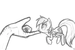Size: 600x400 | Tagged: artist:tex, cute, derpibooru import, flying, hand, micro, monochrome, nose wrinkle, rainbow dash, safe, scratching, scrunchy face, smiling, spread wings, :t, wings