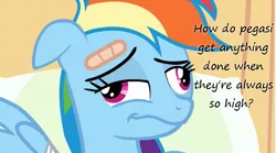 Size: 763x424 | Tagged: bandage, bandaid, derp, derpibooru import, edit, edited screencap, faic, high, insane pony thread, rainbow dash, read it and weep, safe, screencap, solo, tumblr, wavy mouth