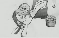 Size: 6702x4338 | Tagged: absurd resolution, apple, applebucking, applejack, artist:pananovich, buck, bucking, derpibooru import, food, monochrome, safe, solo, traditional art, tree