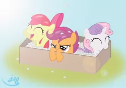 Size: 1700x1188 | Tagged: safe, artist:bugplayer, derpibooru import, apple bloom, scootaloo, sweetie belle, earth pony, pegasus, pony, unicorn, bite mark, box, cardboard box, cutie mark crusaders, female, filly, happy, packaging peanuts, pony in a box, unamused, varying degrees of want